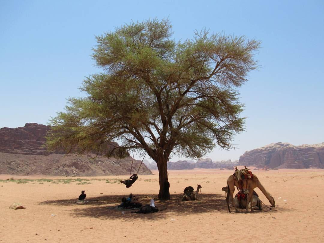 Climbers House In Wadi Rum Exterior foto